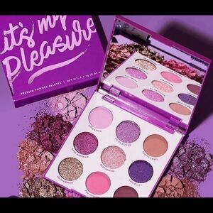 Colourpop Eyeshadow Palette Its My Pleasue Purple New BNIB Full Size